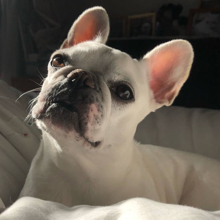 24a9ffff 461e 4aea b41b 8e735c9ee997 1604469293809