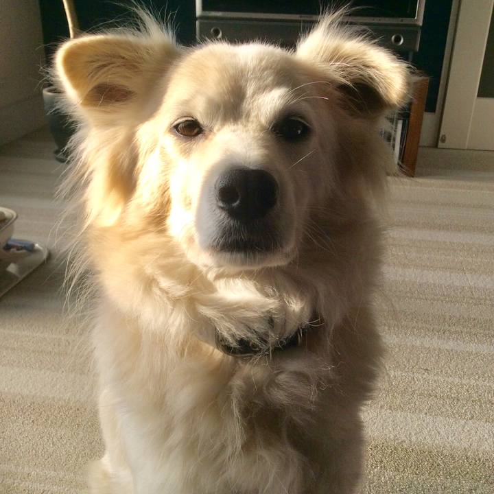 24aa0263 a3a7 40e4 8c6e ba3059454da3 1516069495830