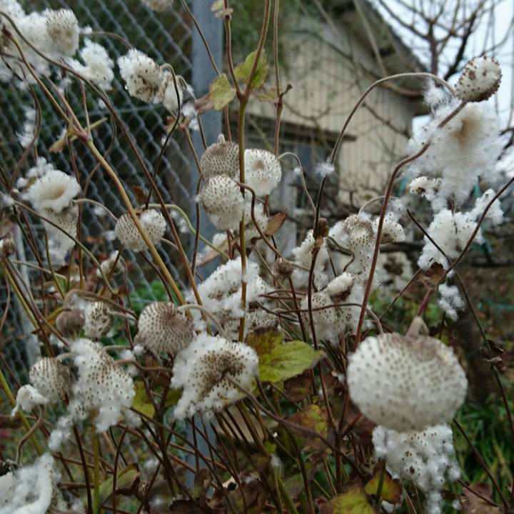 24aa3b57 03a0 447f a9e2 d405e288dff6 1513423516213