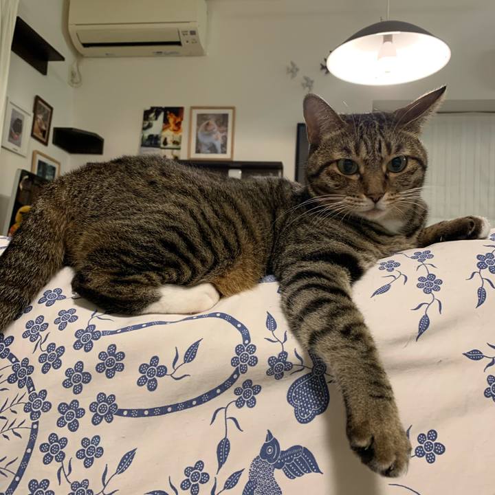 24aa3f1f 8b86 442a 982d 49b2e679dcc1 1761492591528