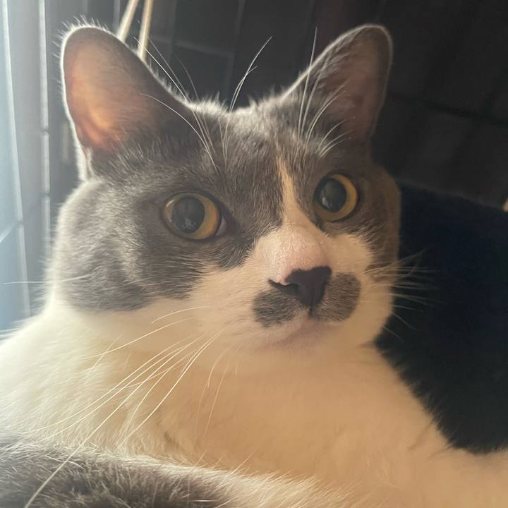 24aa8917 4478 47cc 8609 c16250e1883c 1692143307277