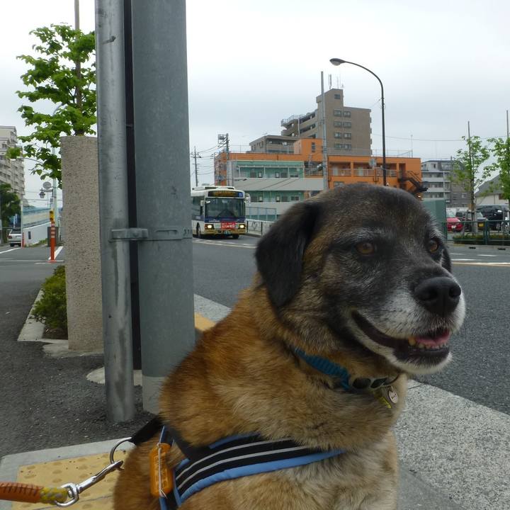 24ab0111 fa2f 4925 a773 86795d7baca2 1579827755937