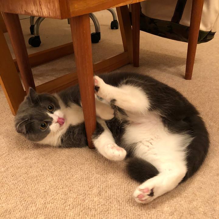 24ab20f7 cda6 40cf 8e01 c97491179e05 1530621364966