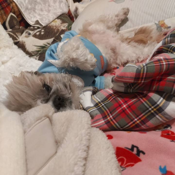 24ab2223 dba5 4964 80a7 f57ca8f3b69f 1768539031319