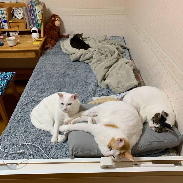 24ab37c7 ecc6 470f 96a3 54d4e846c48e 1636295008927