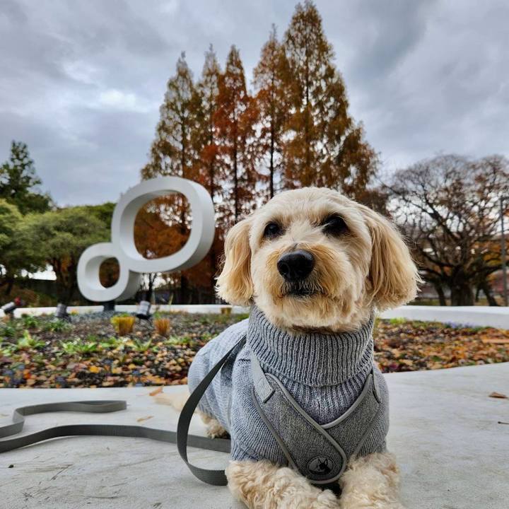 24ab6940 9c17 40a0 8af8 8e1673fb04d1 1764730109890