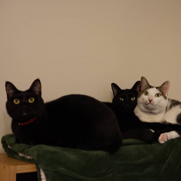 24ab705b 411c 41c8 b6a9 c29345191ee6 1550156622850