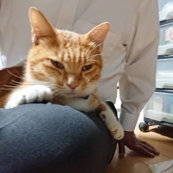 24ab8e72 96ab 4d0f 9b92 f0f1554e17b1 1601542584542