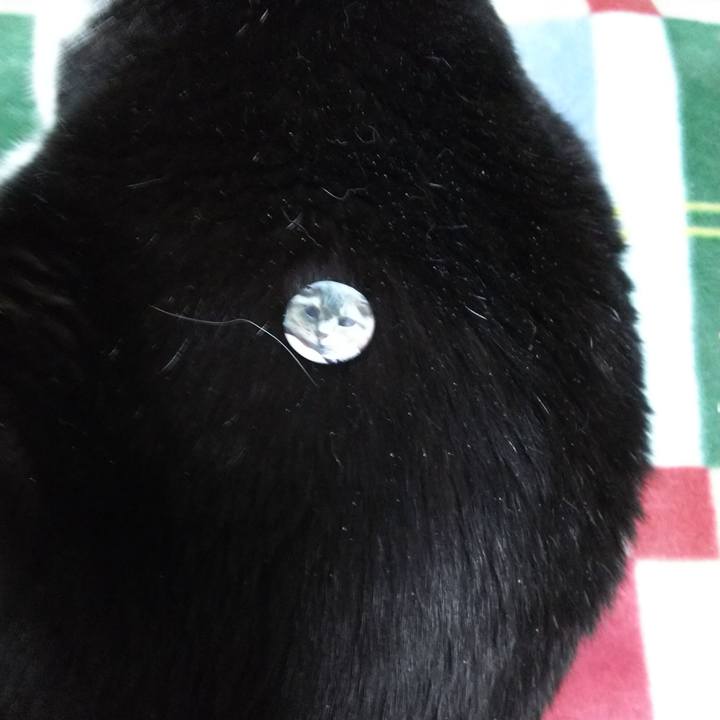 24abcc31 b11a 40a3 9df0 6f307ed6c9cc 1541421303295