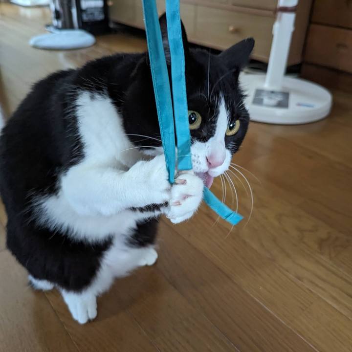 24abeca2 04f0 4f3d b416 4cb3220dde36 1714274298979