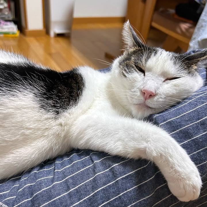 24abecdd 0767 4876 9149 6a7aadc27e90 1729348491954