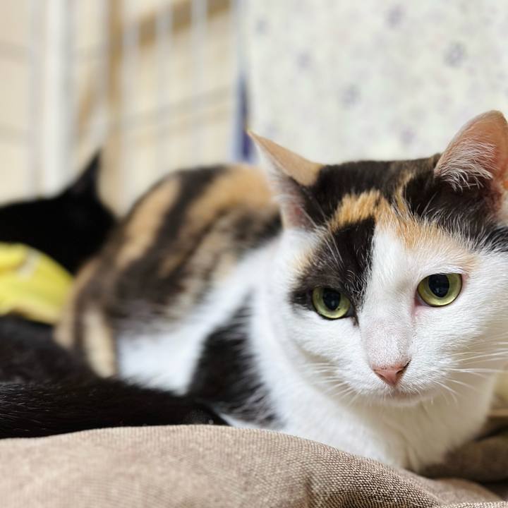 24abf76d 7fad 40f0 a31f e220328d25e1 1717897659574