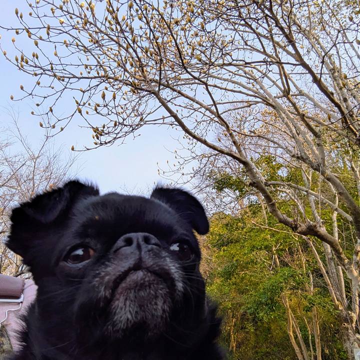 24ac0db1 2cac 46c6 bdfc 62416619441c 1772537594650