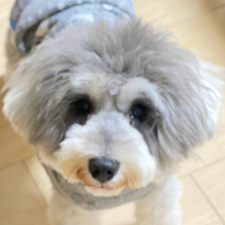 24ac1ea2 2913 4fd2 9356 4e4c2002a0d0 1609596399007