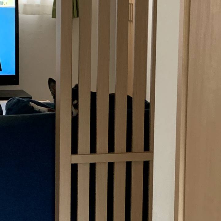 24ac9308 7769 428b b61f 8a16351a6b2b 1589840707913