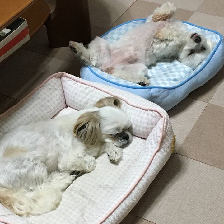 24accbe5 6dfc 43b5 8578 708963d641e7 1591790111223