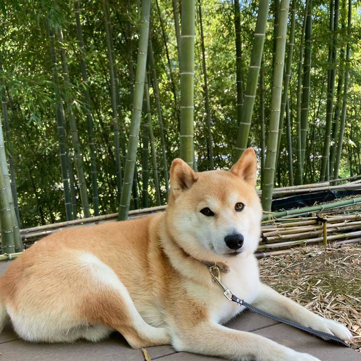 24acce2c ae84 4435 bd40 af467483a731 1719633937184