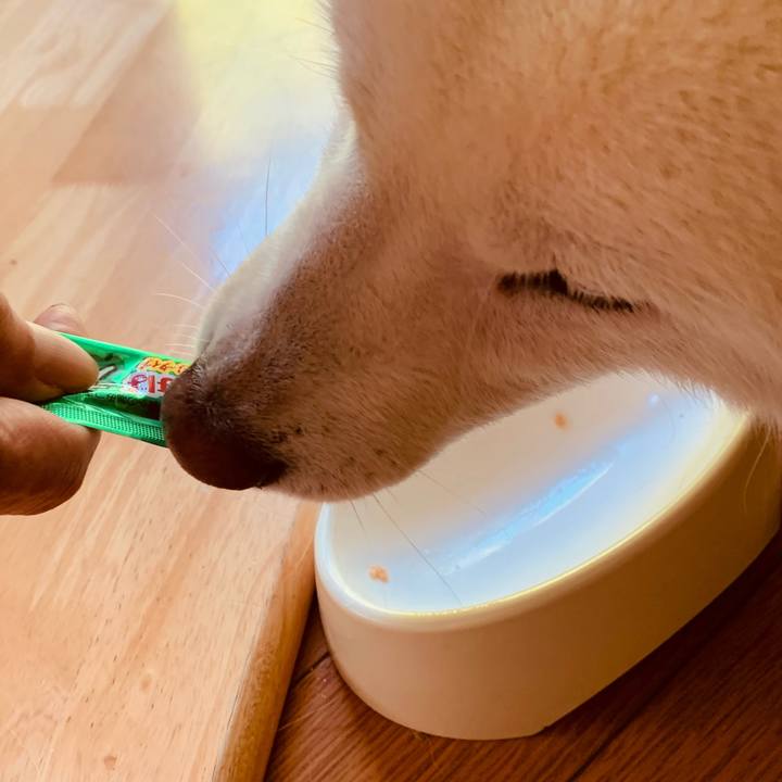 24ad1171 08b2 4653 9148 074568490f8c 1622505808803