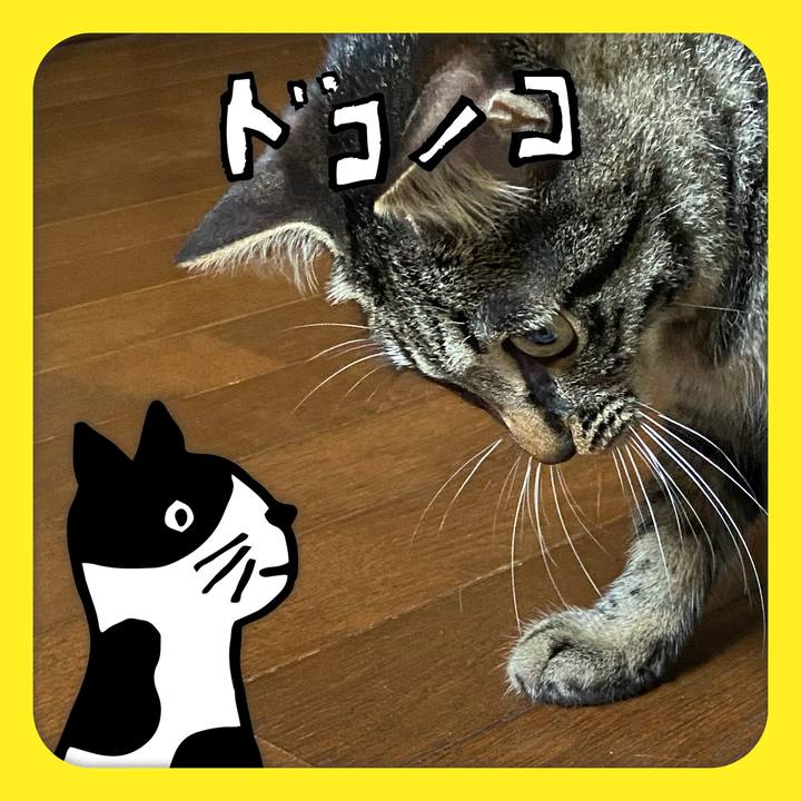 24ad7eed 7420 4fa4 be8e 286391ca3085 1622983692197