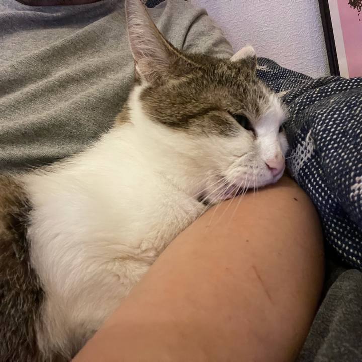 24ad835a 0c41 4ab9 b476 77ead045a002 1628761613994