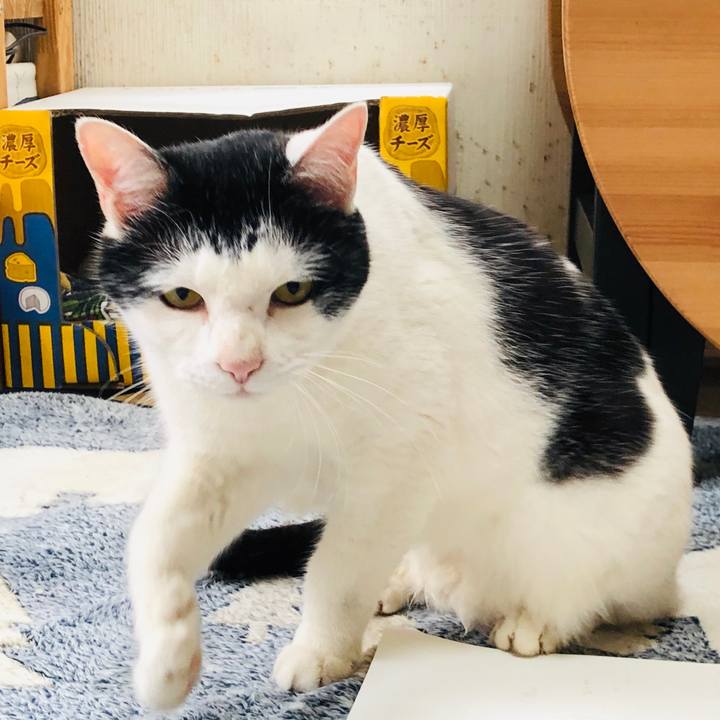 24ad8969 776c 49d1 bec3 9b6d3b86191a 1588554600277