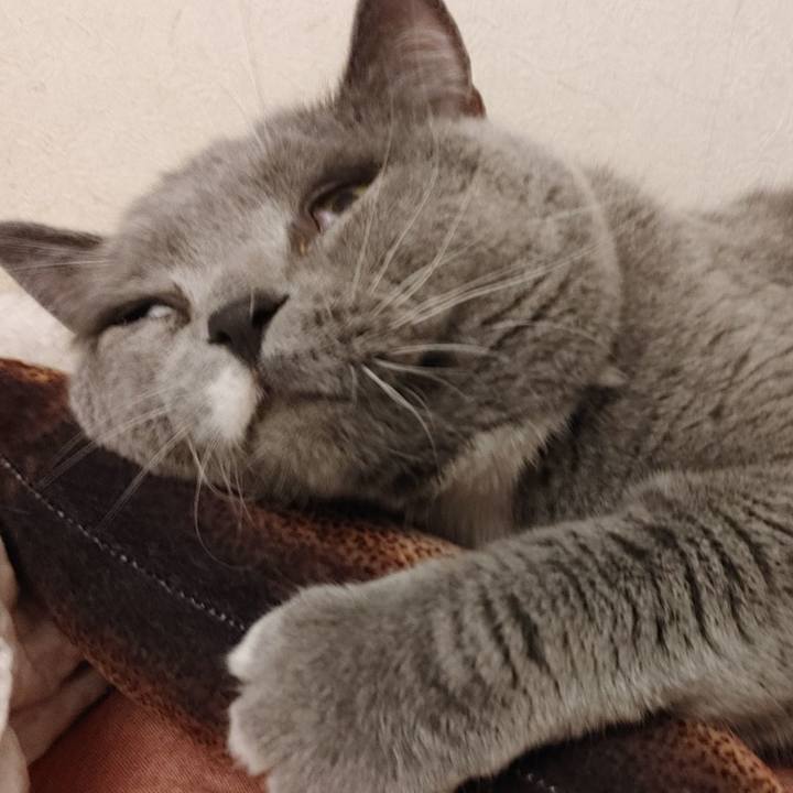 24ad8ba1 0c2a 4f76 bf91 b1a884a94912 1616589072070