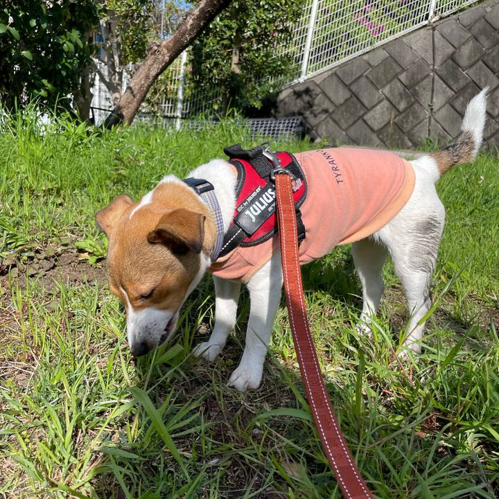 24adc63c 28c8 4c67 943b 26b8c98eabcc 1681620883736