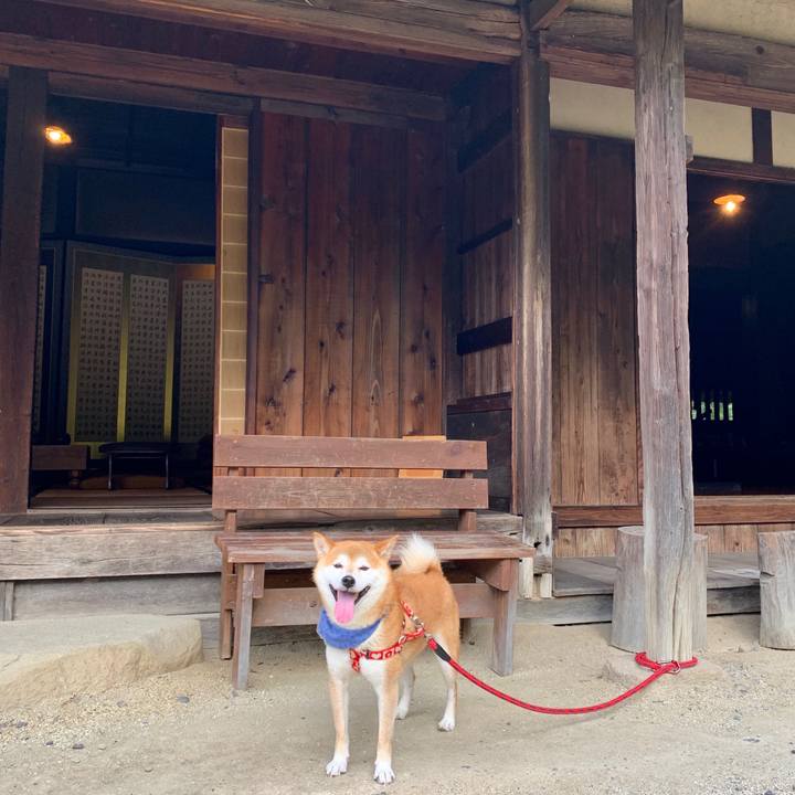 24adf246 62da 4ca5 8bfe ae61ef5ce633 1568711678392