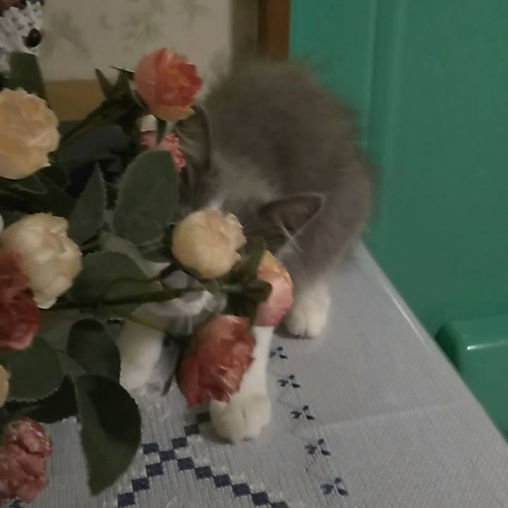 24adfb1e 7a0c 4abd 967d 583ff18e8d41 1564199044871