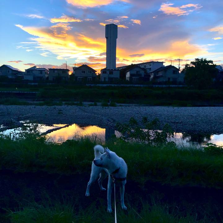 24ae1216 8d51 4035 9f96 575c12c70663 1598388713653