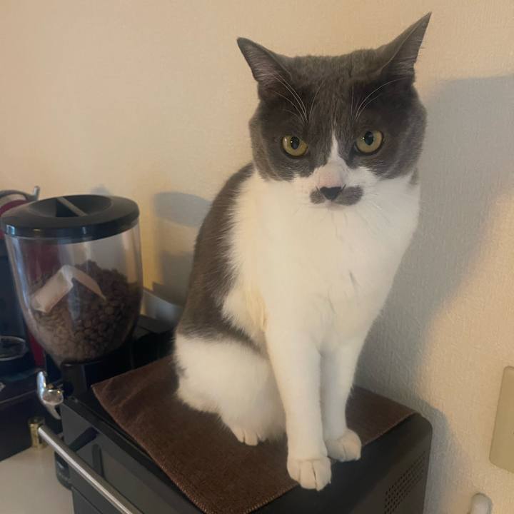 24ae2263 49e4 4b64 914e ea0cd2740256 1732922069349