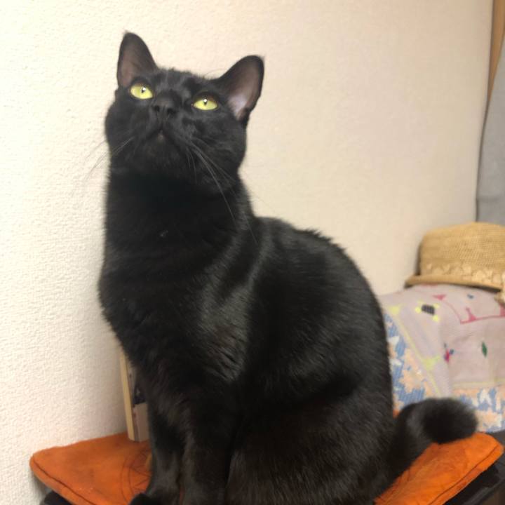 24ae399d 2196 4a99 9c8e 7749c9c23c3d 1556925685190