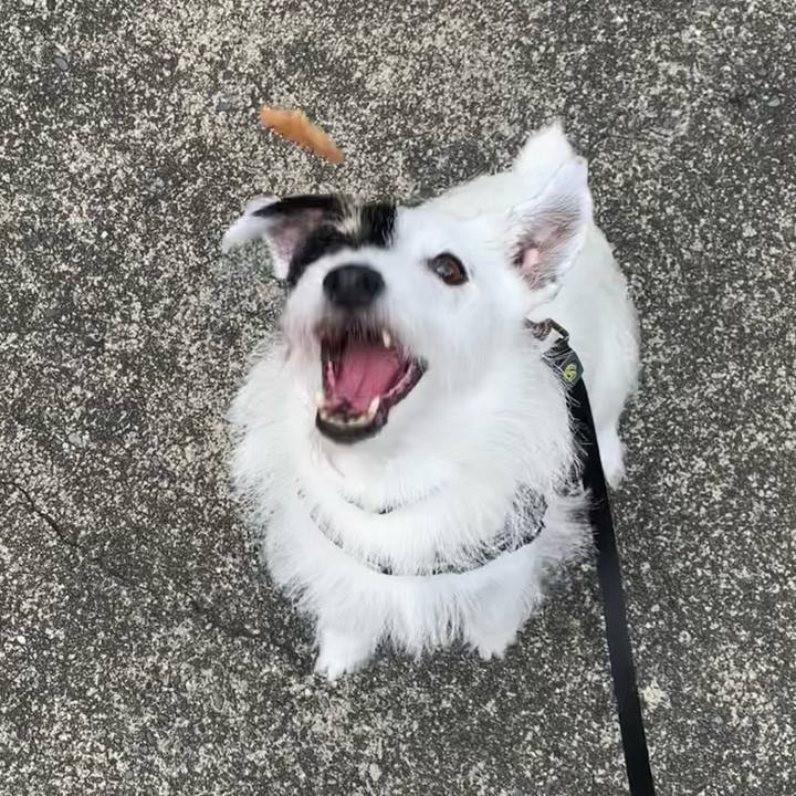 24ae420f 3150 4a64 acf7 edb55ef7137a 1752651825373