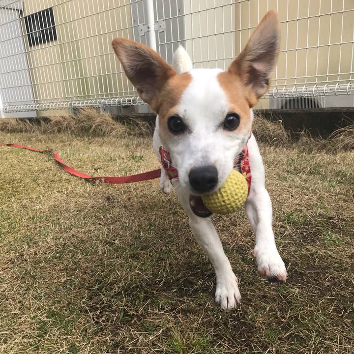 24ae4d57 d027 4a40 8908 7cfedc2caf1e 1587551536624