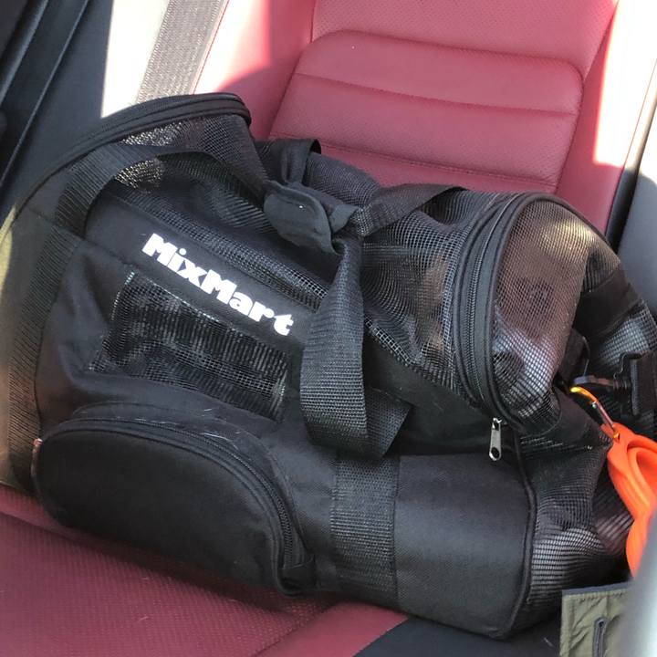 24ae6488 0fe7 4a2a 80f9 a656af750f7d 1543028616875