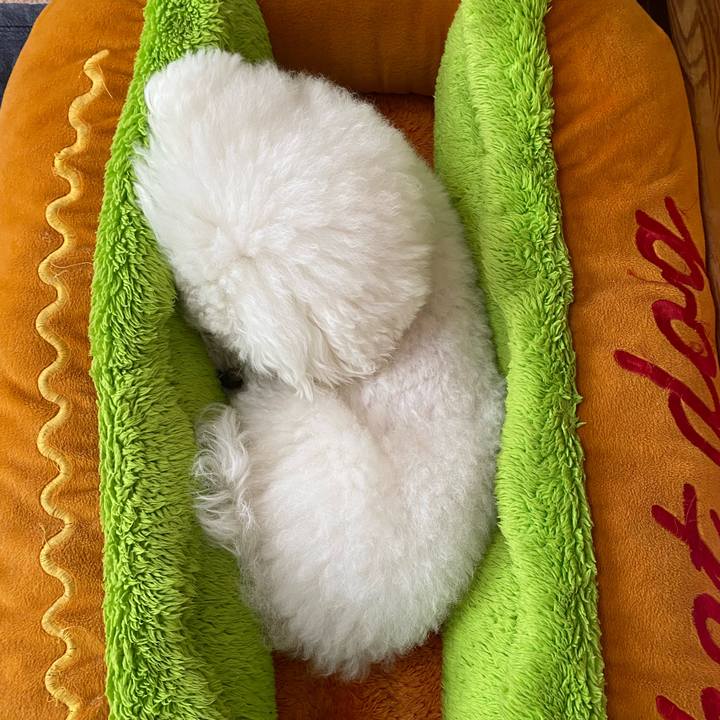 24ae6d40 816a 4a22 82b8 b50988c8befb 1649047567684