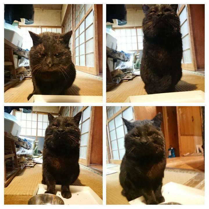 24ae8723 9d86 4f2f ad23 346aadc24310 1615983223980