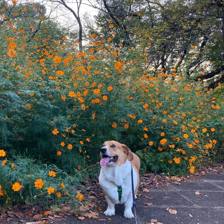 24aea49d e12a 4702 8e80 15892a925e7e 1696126510793