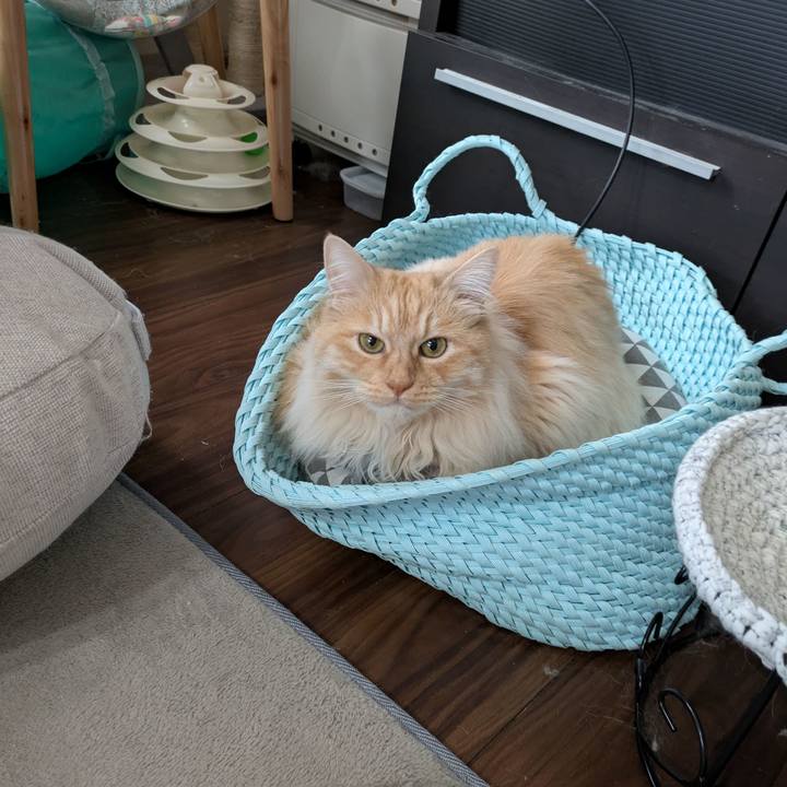 24aeae1d 6e02 4fdf 8460 0e9d0fdb6b9e 1746787161617