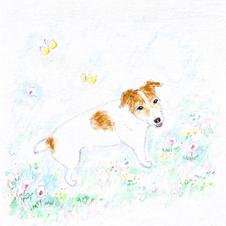 24aef254 3ad9 4ac9 93f3 432ddddbc4a1 1653873884622