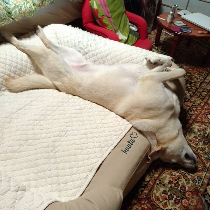 24aeffb3 0745 4f18 9680 518af8b70fa5 1631549009738