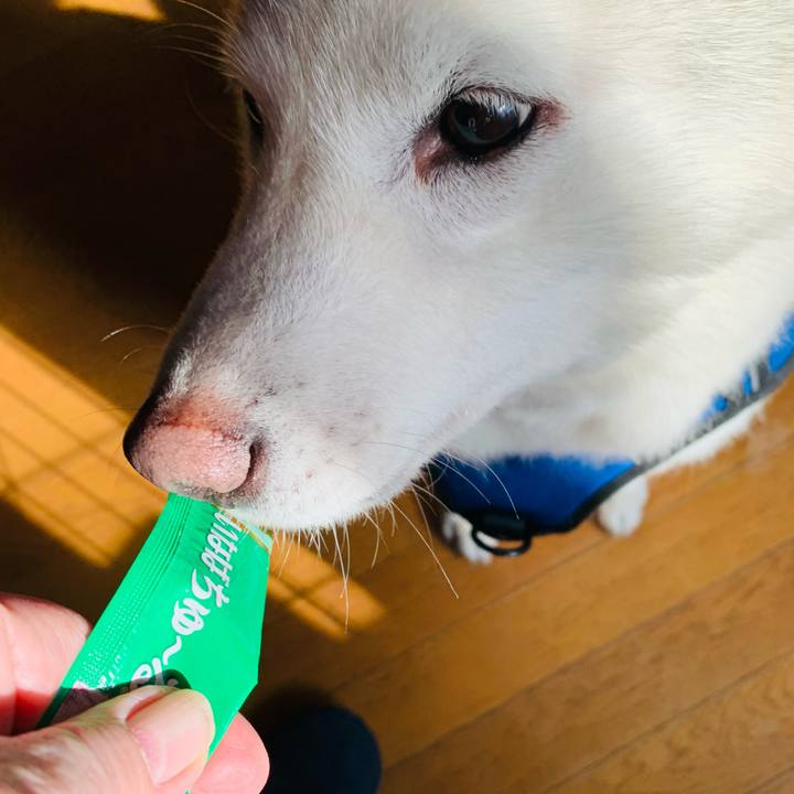 24af1719 82d9 48e7 84d3 5485209a273d 1644026322902