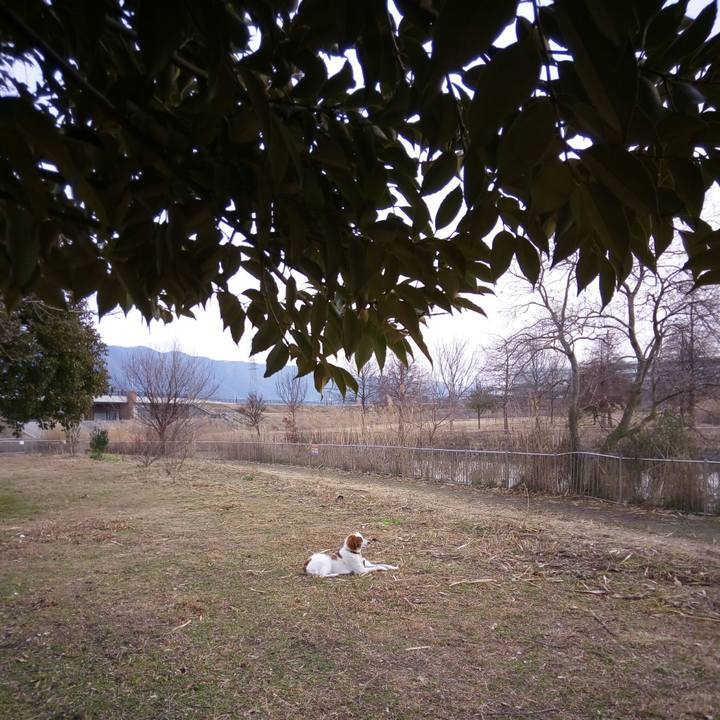 24af530a 7bd7 486b 99ca 5a88a25d6b61 1517616688577