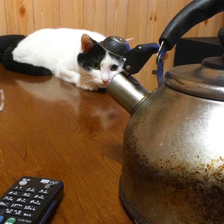 24b09e36 8405 40b1 bc00 555bc4da2a52 1533394646352