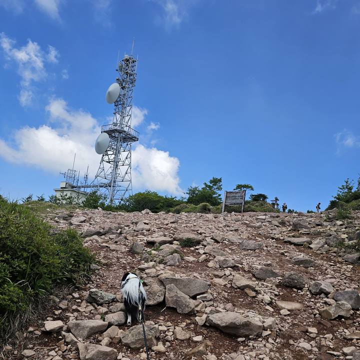 24b0adb6 ca9a 47b2 9170 7895f27b76f0 1718872832895