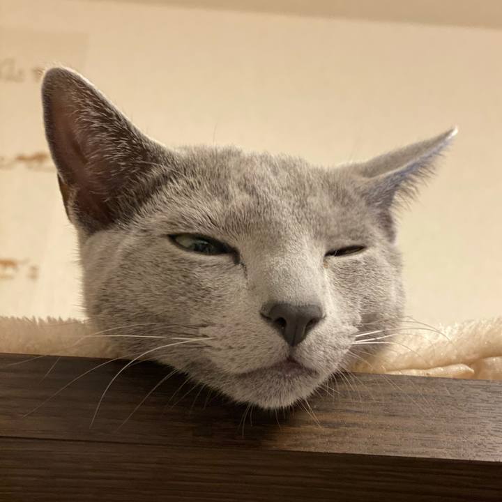 24b0c8c0 19b9 4a38 9fae ba9e58c8cb17 1618122232236