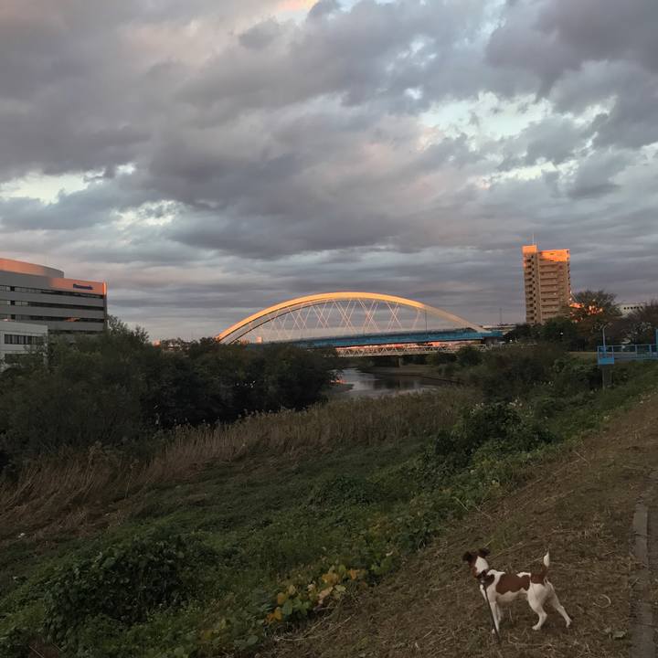 24b0ca90 bf59 48b1 868b 90619f767f75 1510440987231