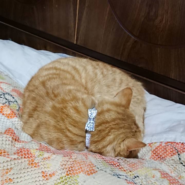 24b0f3bc a96c 477a a126 e158921c2f0b 1586951204003