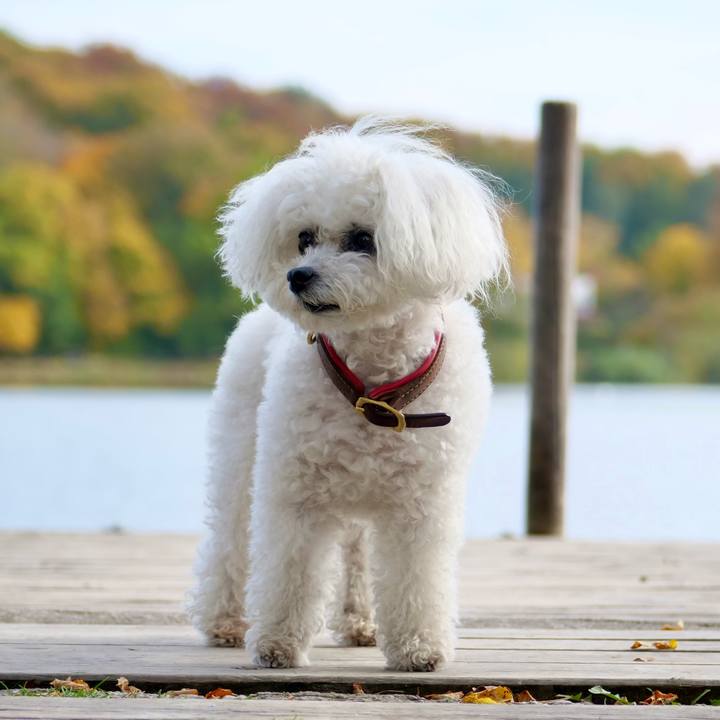 24b11db2 2011 4eb0 aaef 0b3f9e1e4f4e 1761043146970