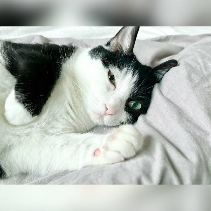 24b1257a 2c30 47f5 a3fe 665b4ec7c932 1717126790152